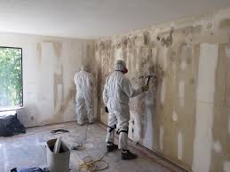 Best Residential Mold Inspection & Testing  in El Paso, IL